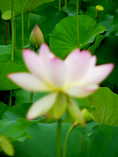 a0024250_23244984.jpg
