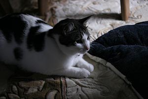 d0034352_2314179.jpg