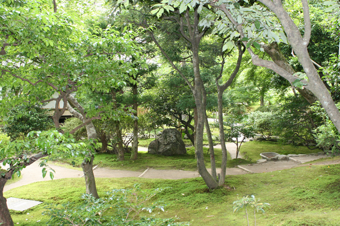 c0010759_20252135.jpg