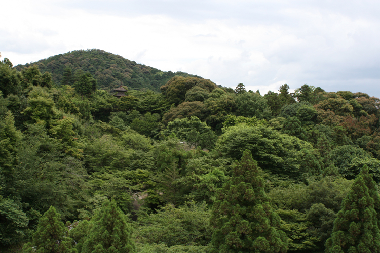 c0010759_2031477.jpg