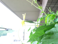 b0074862_23294955.jpg