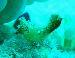 b0062363_1733128.jpg