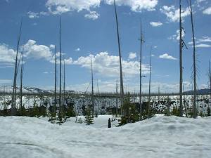 b0042468_132391.jpg