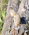 b0042468_1404010.jpg