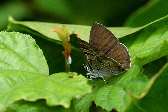 f0090680_2152665.jpg