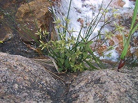 b0073782_1920821.jpg