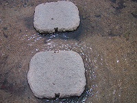 b0073782_19211750.jpg