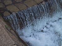 b0073782_19215758.jpg