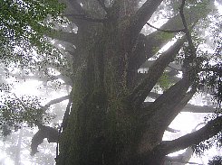 a0004391_22424073.jpg