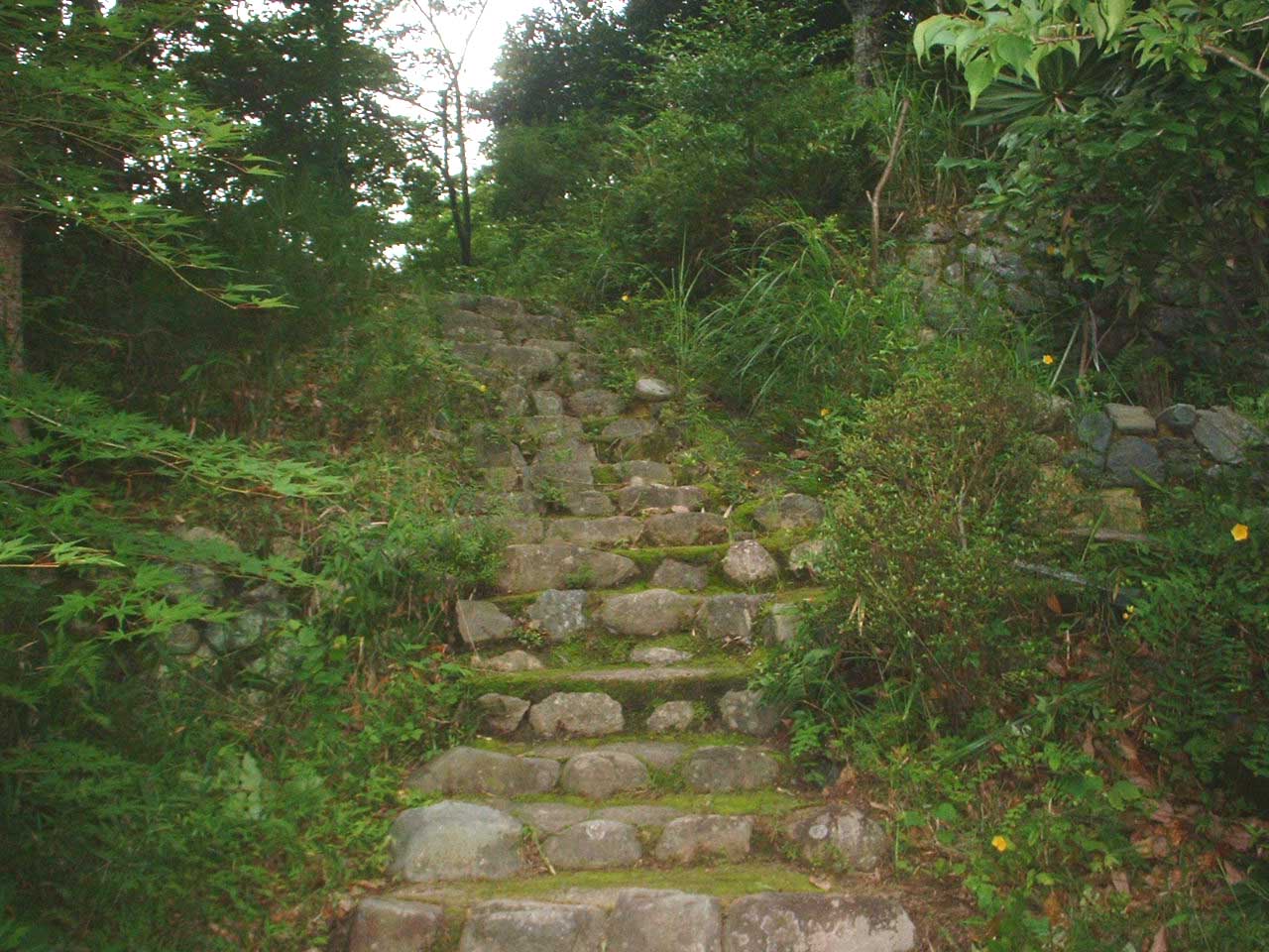 b0092694_0244911.jpg