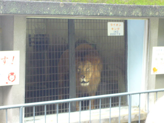 e0015108_211598.jpg