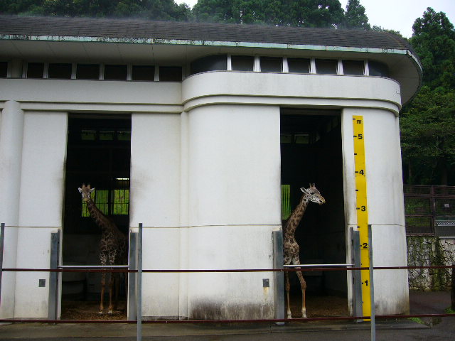 e0015108_2202245.jpg