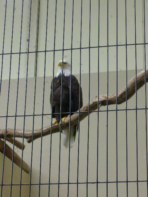 e0015108_2411857.jpg