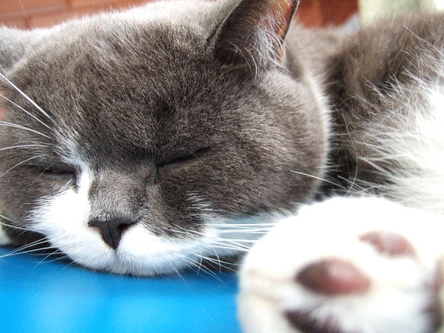 f0032020_12343145.jpg