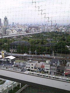 d0001724_7392925.jpg