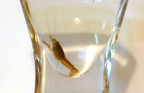 f0060424_14342977.jpg