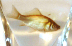 f0060424_8391062.jpg