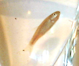 f0060424_841328.jpg