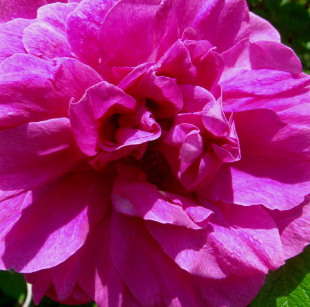 f0023625_155016.jpg