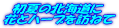 f0023625_1553629.gif