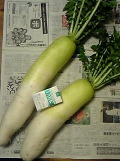 f0083726_1574196.jpg
