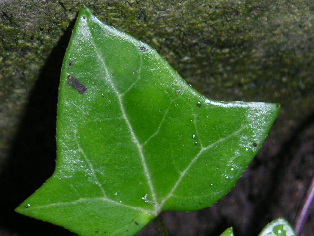 a0020929_913438.jpg