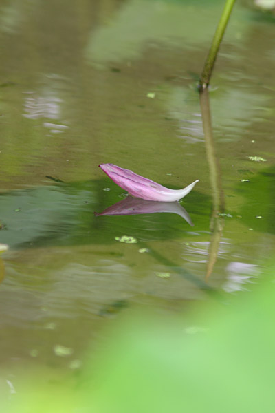 e0025930_22154490.jpg