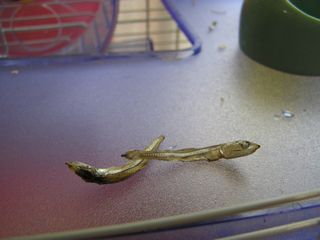 f0012931_1644840.jpg