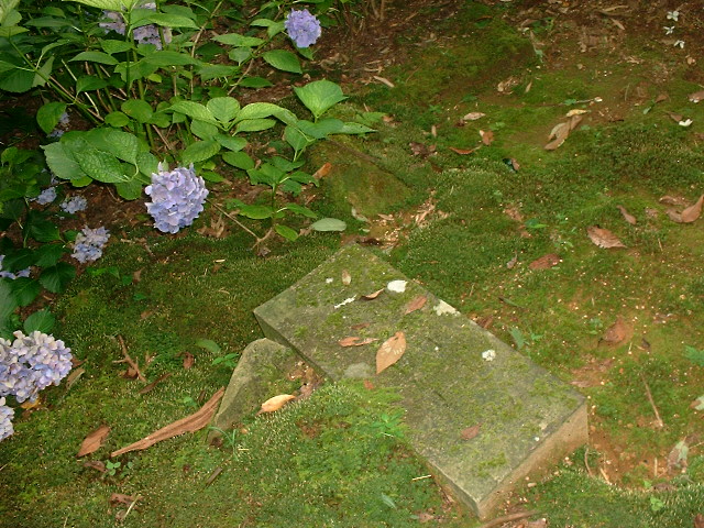 a0074938_18372026.jpg