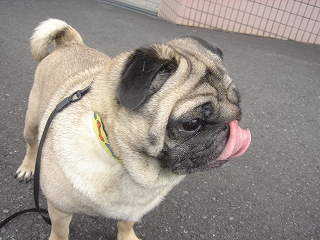 c0076141_2155444.jpg