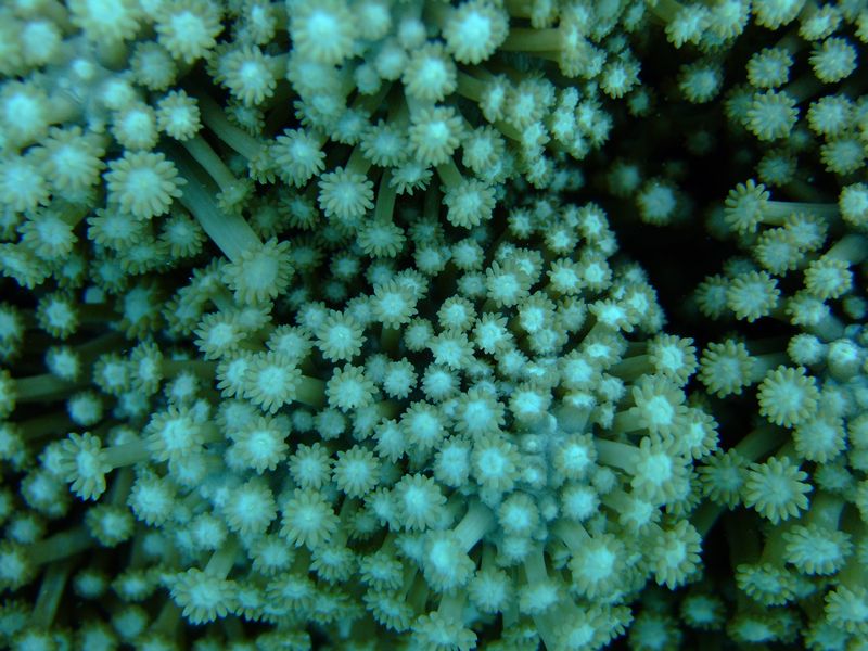 e0027447_22365926.jpg