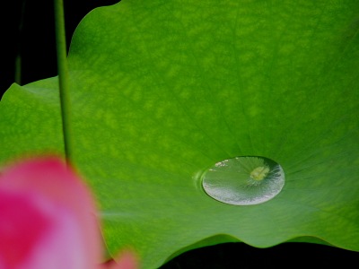 a0024250_23471055.jpg