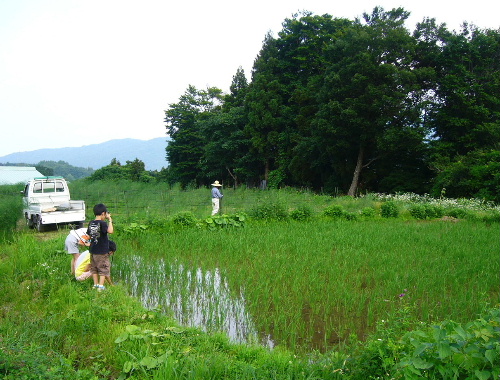 b0015260_9574340.jpg