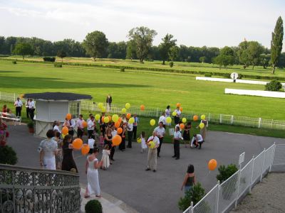 a0028065_07369.jpg