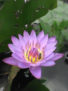 a0001668_22282538.jpg