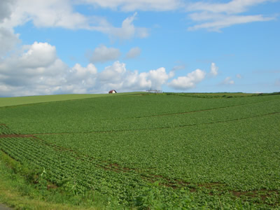 d0074578_23205117.jpg