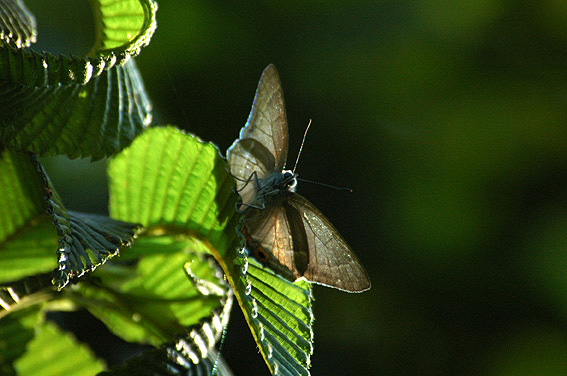 f0090680_2318677.jpg