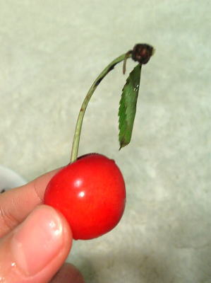 f0004182_0301533.jpg