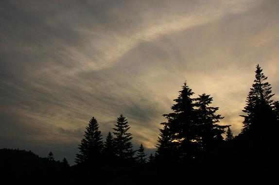 e0071185_19134137.jpg
