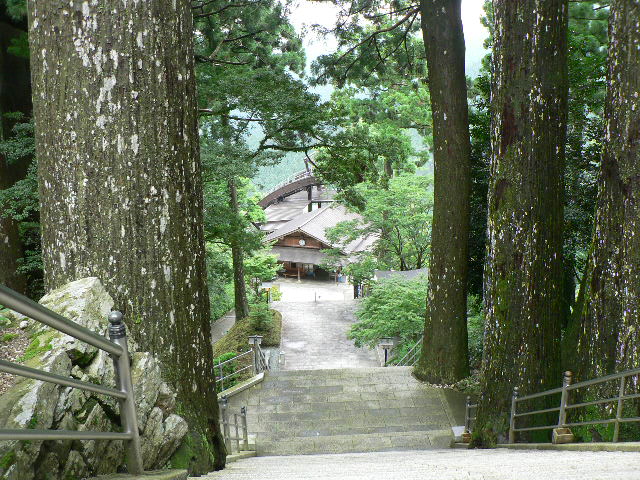 d0061286_05269.jpg