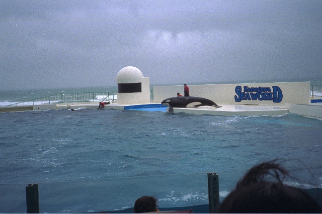 c0019089_2063017.jpg