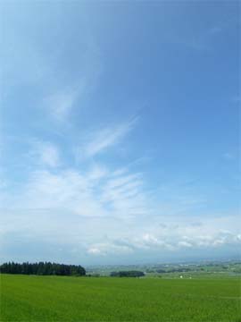 b0046290_2130125.jpg