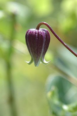 c0026690_2238114.jpg