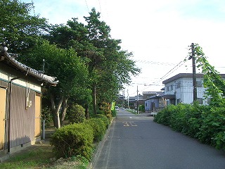 f0011490_10484432.jpg