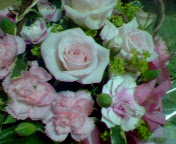 b0007895_21531186.jpg