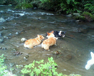 f0077097_14273417.jpg