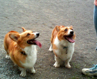 f0077097_14304387.jpg