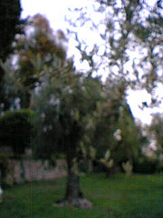 e0037001_2252844.jpg