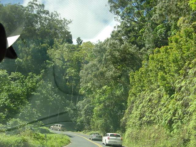 a0057502_973910.jpg
