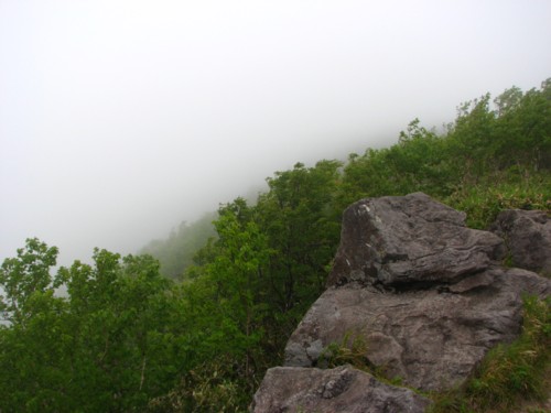 f0020302_12215720.jpg